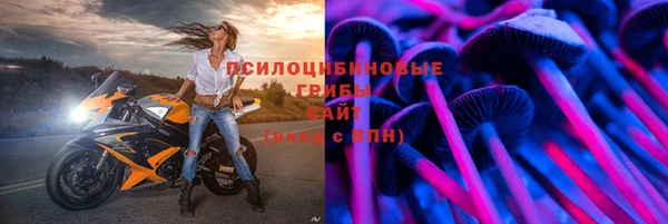 дурь Арсеньев