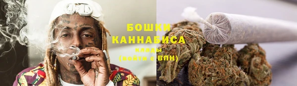 дурь Арсеньев