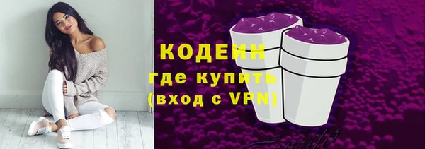 дурь Арсеньев