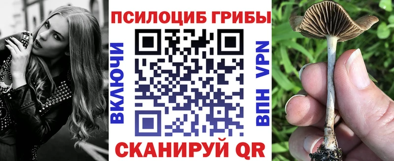 Галлюциногенные грибы Magic Shrooms  Струнино 